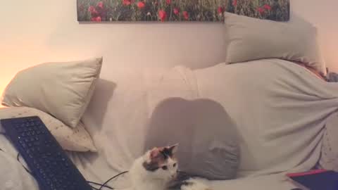 Sexurbation online show from 12.20.25