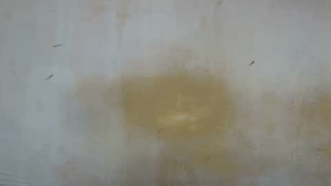 sexy_candy9 online show from 11.11.25