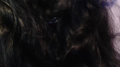    online show from 01.15.25