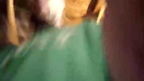    RICHY    online show from 04.12.26