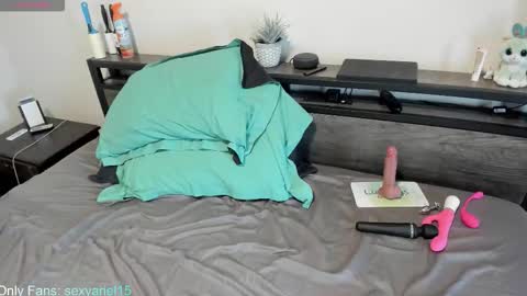 Snapshot of sexyariel15 chatting on 10.22.25 SexyAriel15 online show from 10.22.25