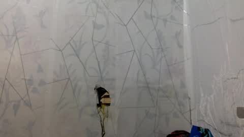 miss jade so online show from 04.15.26