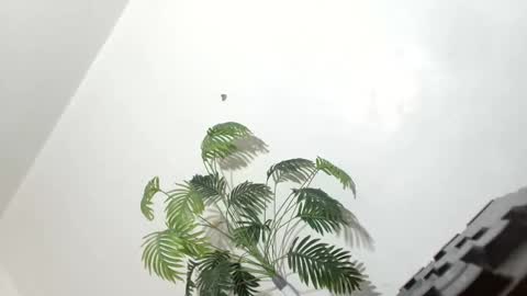 sexyhotbabe18 online show from 03.07.26