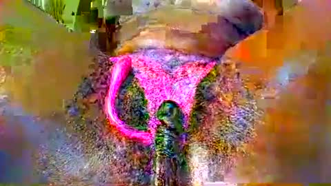 sexyy_pussy4147 online show from 05.13.26
