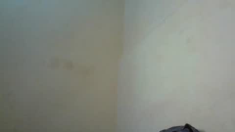 Shantel online show from 07.29.26