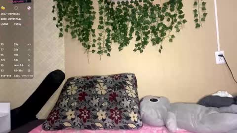 Kristin online show from 11.09.25