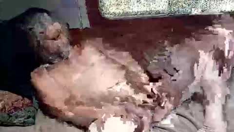 Snapshot of sharoc666 chatting on 03.04.26 Shamroc online show from 03.04.26