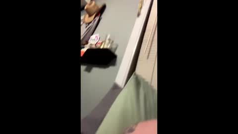 sheepydoggy45 online show from 01.02.25