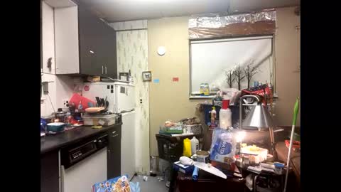 Shelby holes online show from 12.09.24