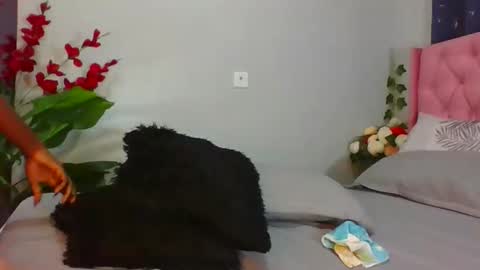 Snapshot of shelia420715 chatting on 04.09.26 shelia420715 online show from 04.09.26