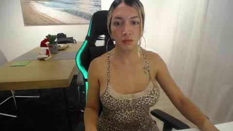 Snapshot of shellsy_hans chatting on 12.27.24 Shellsy H online show from 12.27.24