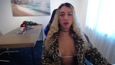 Snapshot of shellsy_hans chatting on 12.31.24 Shellsy H online show from 12.31.24