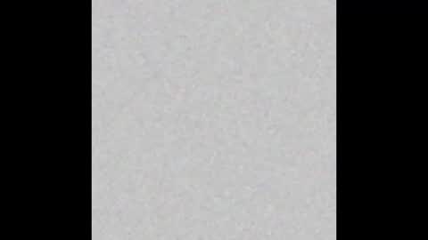 shellykblack online show from 12.21.25