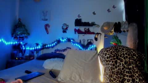 Snapshot of sherahade chatting on 12.28.24 shera hade online show from 12.28.24