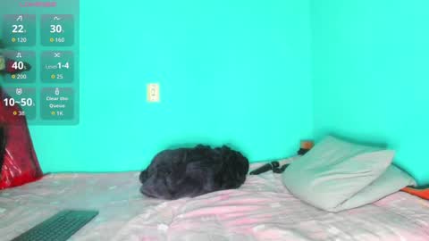 Snapshot of sherahade chatting on 11.19.25 shera hade online show from 11.19.25