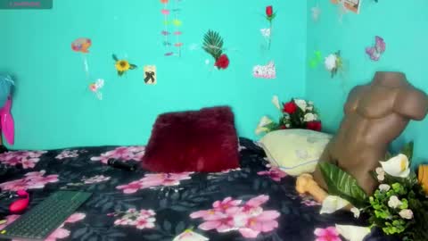 Shera Hade online show from 03.08.26