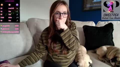 short sweetpea online show from 11.13.25