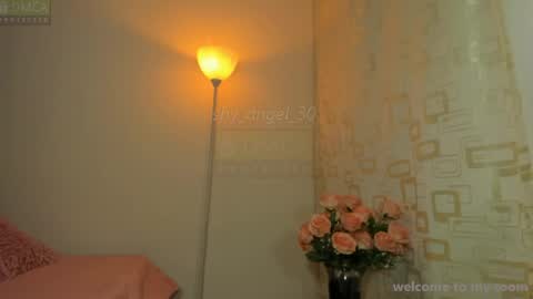 Angel  online show from 08.04.26