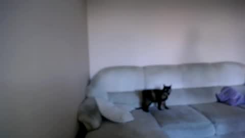 shy_sabrina_ online show from 04.26.26