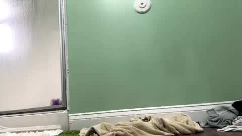 Sasha online show from 02.27.25