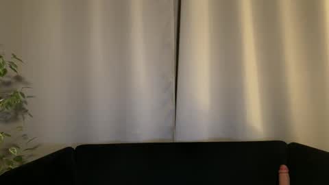 Amelia online show from 12.09.24