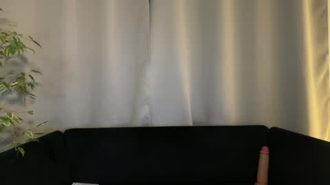 Amelia online show from 12.16.24