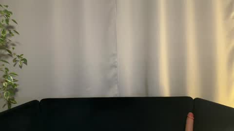 Amelia online show from 01.29.25