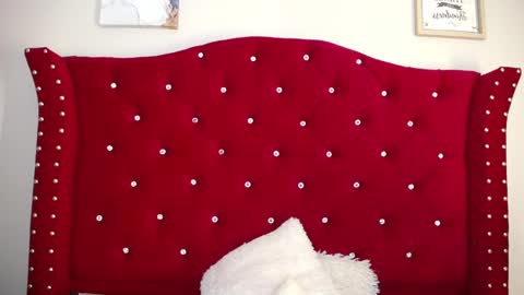 silvia_ls online show from 02.16.25