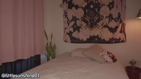 Little Sunshine online show from 12.09.24