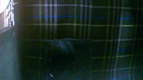 simply__me online show from 02.16.26