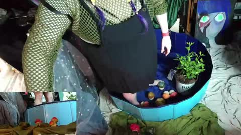 Sinstress hemlock online show from 04.27.26