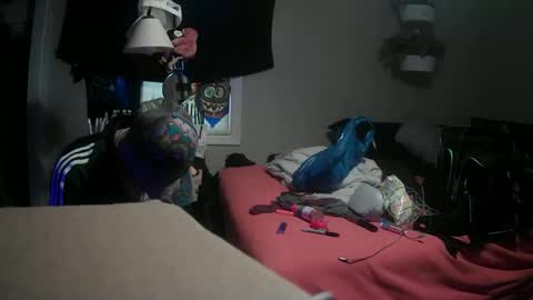 Danny skiff online show from 03.09.25