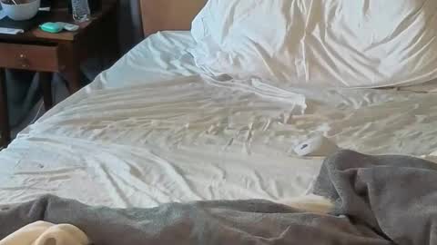 Snapshot of sissydensib chatting on 04.18.26 Sissy Submissive online show from 04.18.26