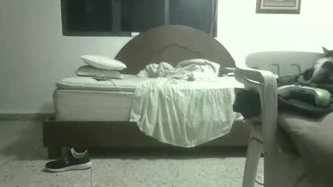 Snapshot of skanky_little_dolls chatting on 11.27.25 skanky_little_dolls online show from 11.27.25