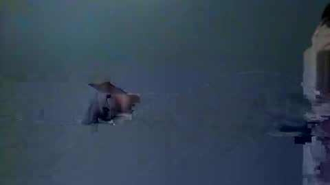 Snapshot of skeeter4fun73 chatting on 12.20.25 skeeter4fun73 online show from 12.20.25