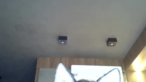 skinnykittencam online show from 11.02.25