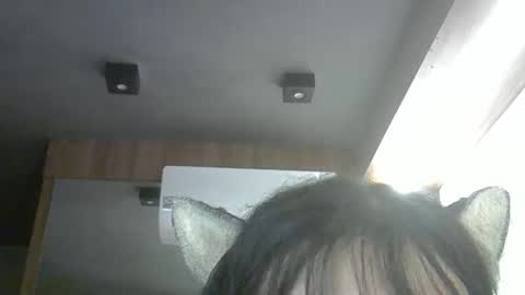 skinnykittencam online show from 04.14.26