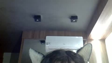 Snapshot of skinnykittencam chatting on 05.03.26 skinnykittencam online show from 05.03.26