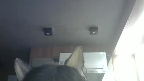 Snapshot of skinnykittencam chatting on 05.14.26 skinnykittencam online show from 05.14.26