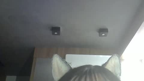 Snapshot of skinnykittencam chatting on 05.18.26 skinnykittencam online show from 05.18.26