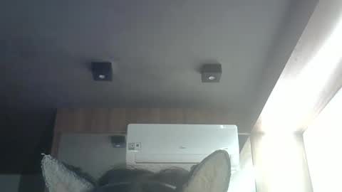 Snapshot of skinnykittencam chatting on 05.24.26 skinnykittencam online show from 05.24.26