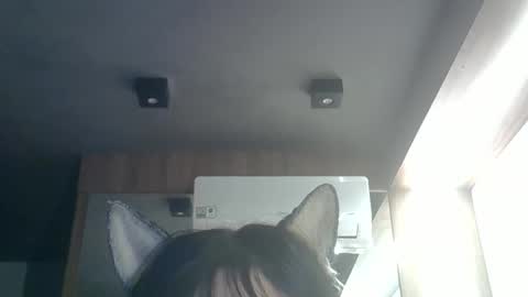 Snapshot of skinnykittencam chatting on 05.26.26 skinnykittencam online show from 05.26.26