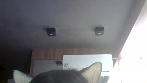 Snapshot of skinnykittencam chatting on 05.30.26 skinnykittencam online show from 05.30.26