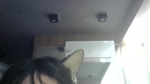 Snapshot of skinnykittencam chatting on 06.11.26 skinnykittencam online show from 06.11.26