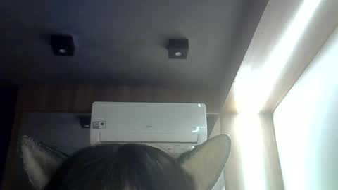 Snapshot of skinnykittencam chatting on 06.16.26 skinnykittencam online show from 06.16.26