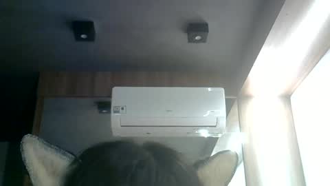Snapshot of skinnykittencam chatting on 06.17.26 skinnykittencam online show from 06.17.26