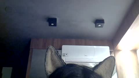 Snapshot of skinnykittencam chatting on 07.12.26 skinnykittencam online show from 07.12.26