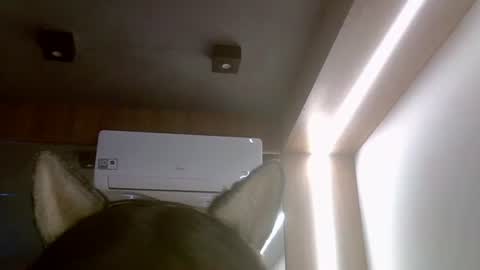 Snapshot of skinnykittencam chatting on 07.16.26 skinnykittencam online show from 07.16.26