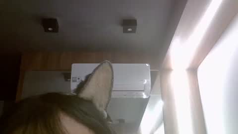 Snapshot of skinnykittencam chatting on 07.17.26 skinnykittencam online show from 07.17.26