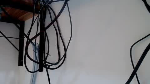 VERUS online show from 04.19.26